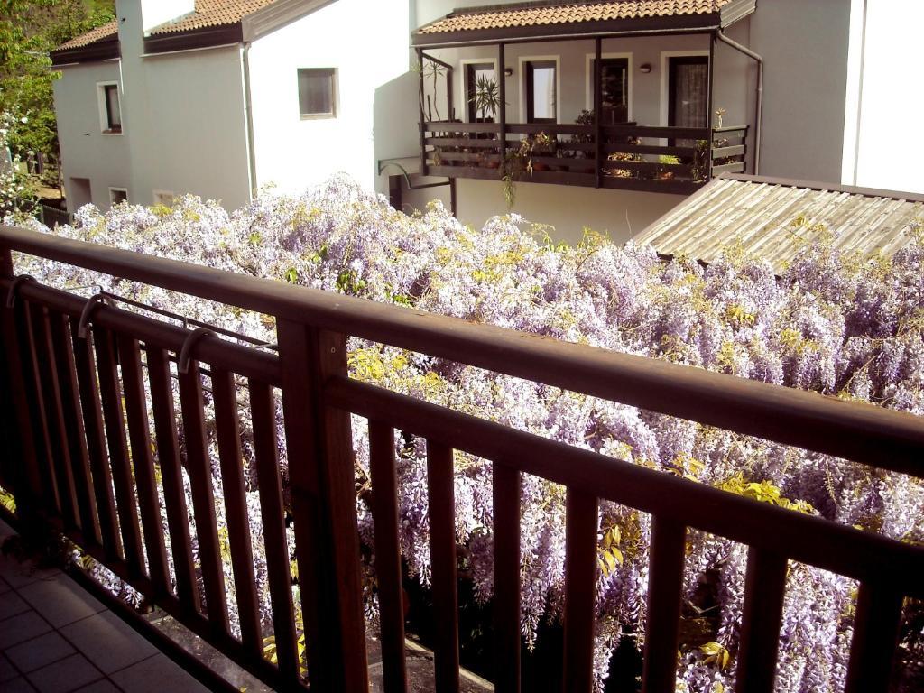 Hotel Faedo Pineta Quarto foto
