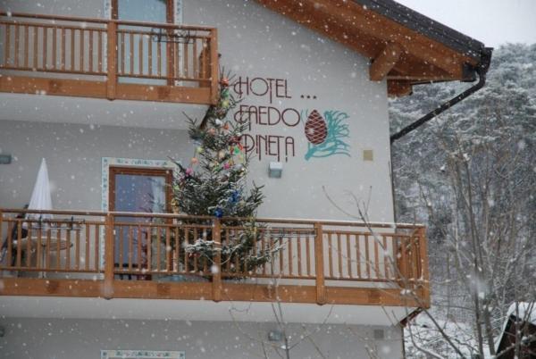 Hotel Faedo Pineta Quarto foto